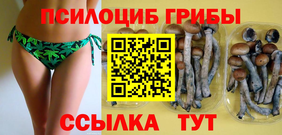Галлюциногенные грибы Psilocybine cubensis  Галлюциногенные грибы ЛСД  Вход с VPN  Ликино-Дулёво 